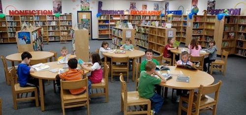 Students learning in the library 